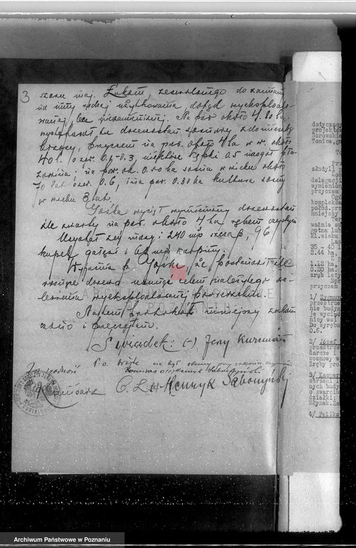 Obraz 7 z jednostki "Gmina Szyminowice powiat koniński /nadzór nad gospodarką leśną/"