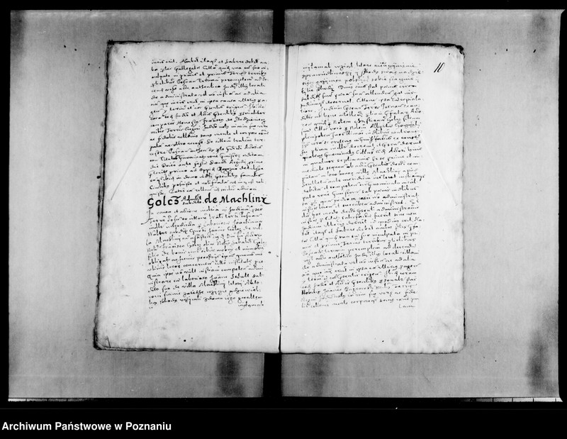 Obraz 13 z jednostki "Decreta [inducta]"