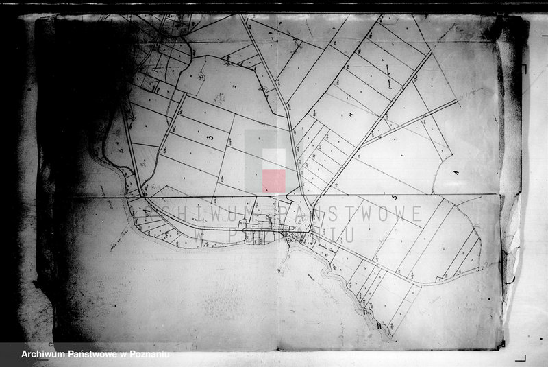 Obraz 7 z jednostki "Łabiszyn powiatu szubińskiego plany parcelowanego majątku"