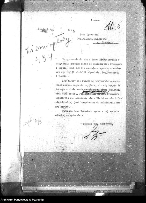 Obraz 10 z jednostki "Ziemiopłody"