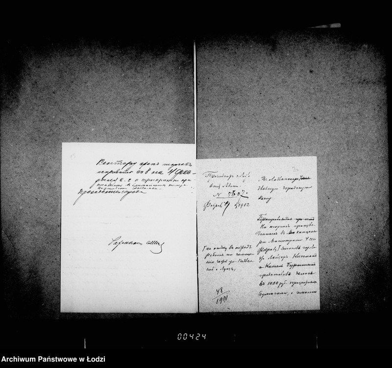 Obraz 17 z jednostki "O zamoščenji ulic: Luizy i Podlesnoj"