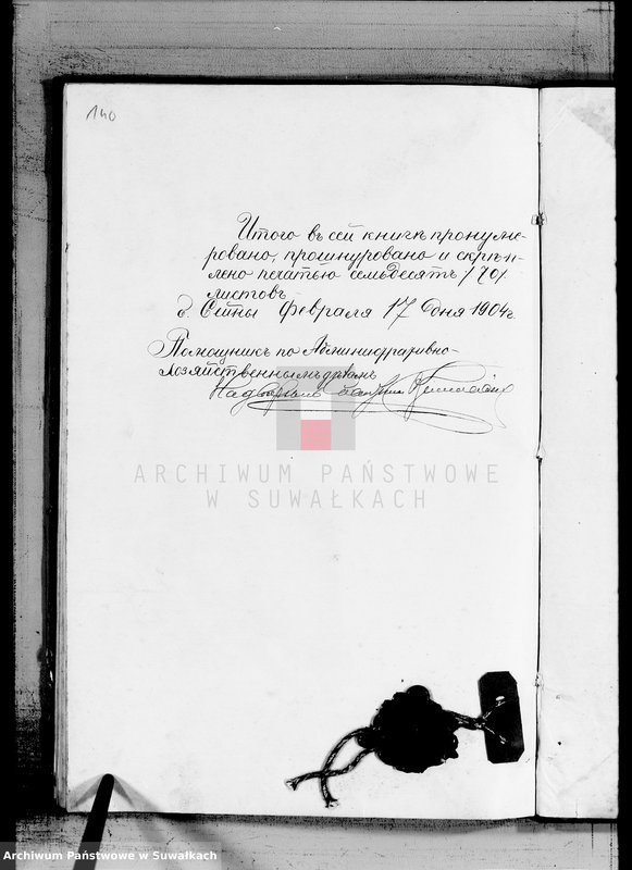 image.from.unit.number "Duplikat o rodivšichsja, brakosočetavšichsja i umeršich evrejach Miroslavskogo Okruga za 1904 god"