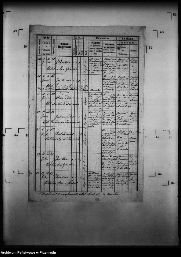 Obraz 10 z jednostki "[Kopie ksiąg metrykalnych parafii Nowa Wieś z filią Łosie (dekanat Muszyna)]"