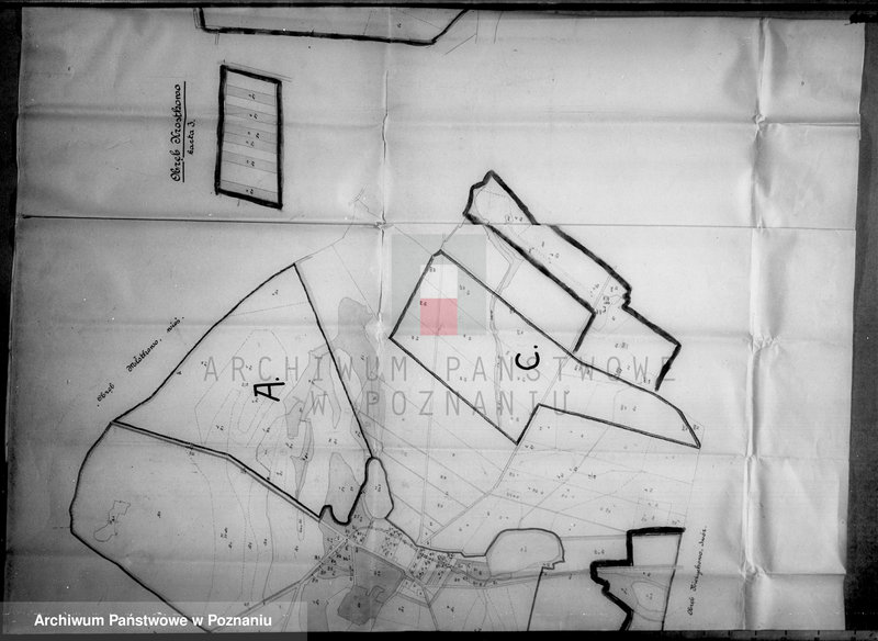 Obraz 6 z jednostki "Majątek Jeziorki Kosztowskie powiatu wyrzyskiego wyłączenie z art. 4/5 ustawy o wykonaniu reformy rolnej Ernst Buttner"