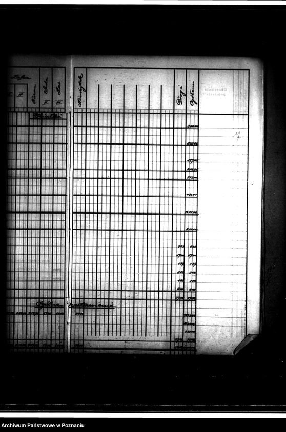 Obraz 11 z jednostki "Tymczasowy rejestr pomiarowy części majątku Chrząstowo powiatu wyrzyskiego"