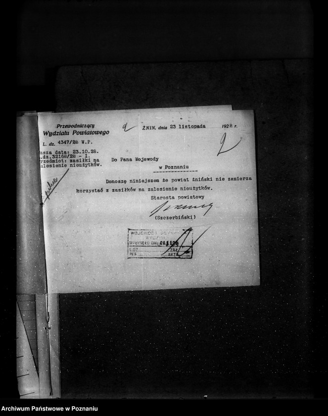 Obraz 6 z jednostki "Zalesienie nieużytków w powiecie żnińskim"