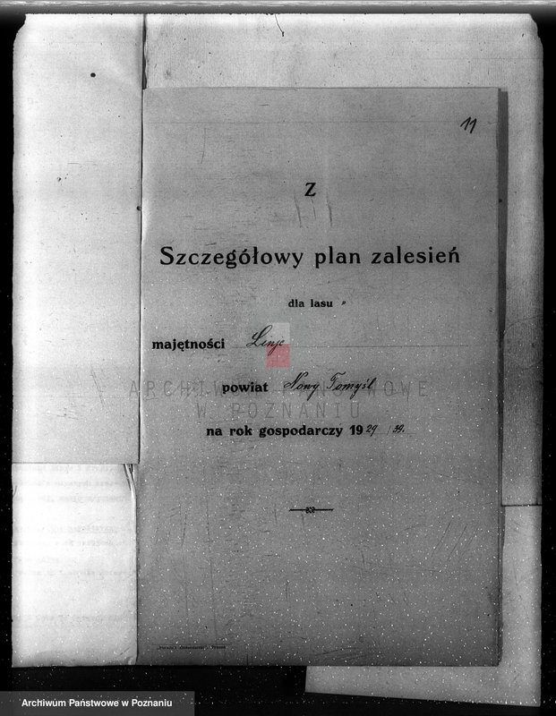Obraz 17 z jednostki "Plan urządzenia gospodarstwa leśnego dla lasu majętności Lizie powiat nowotomyski"