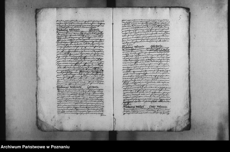 Obraz 8 z jednostki "Decreta [inducta]"