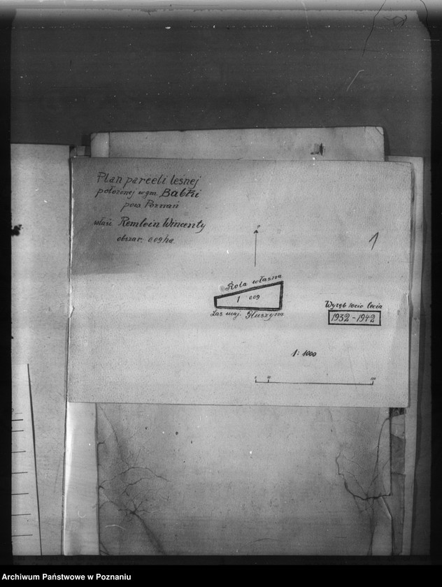 Obraz 5 z jednostki "Program urządzenia gospodarstwa leśnego lasu Remleina Wincentego w Babkach powiat poznański"