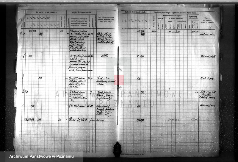 image.from.unit.number "Plan urządzenia gospodarstwa leśnego dla lasu Anny Far w Piotrowie powiat szamotulski 1930-1940"
