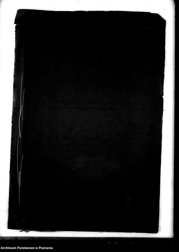 Obraz 4 z jednostki "Sprawy szczegółowo-administracyjne Pasy zapędne"