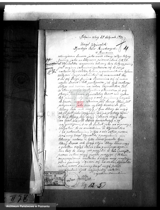 Obraz 15 z jednostki "Las gromady Belęcin-Nowy powiat leszczyński"