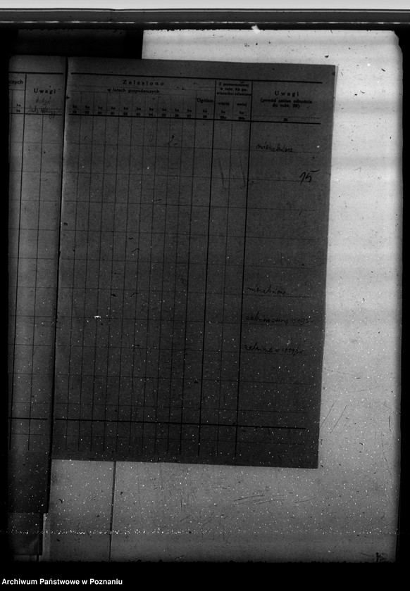 Obraz 19 z jednostki "Program urządzenia gospodarstwa leśnego dla lasu majętności Kobylepole powiat poznański 1929-1939"