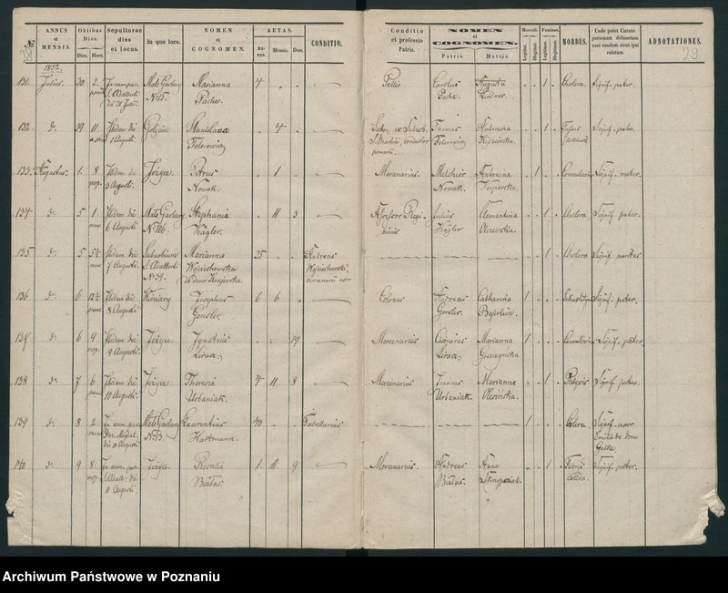 Obraz 16 z jednostki "Księga zgonów"