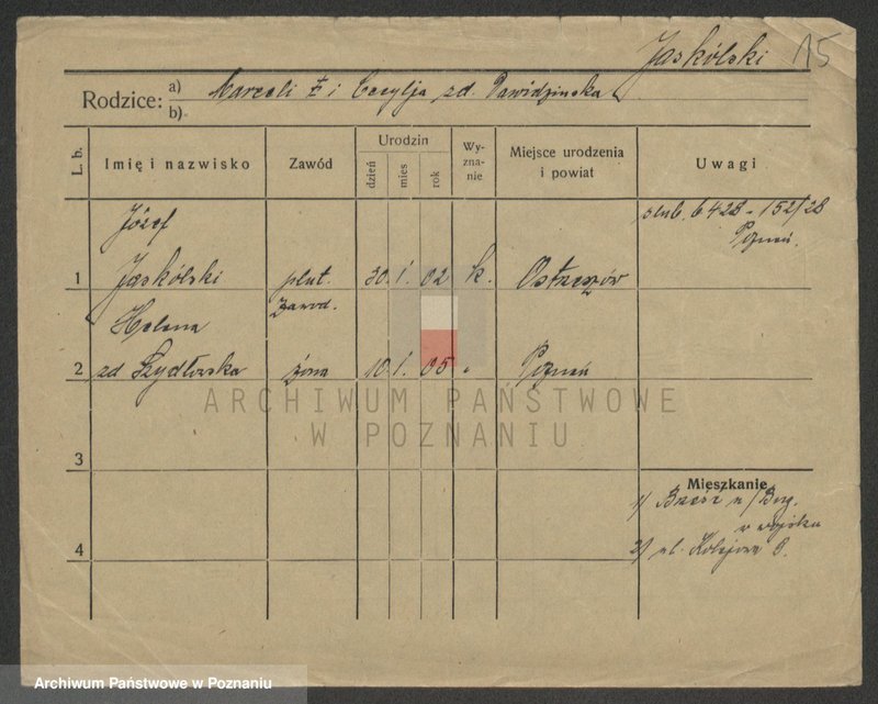 Obraz 15 z jednostki "Jaskulski - Jaszczyk"