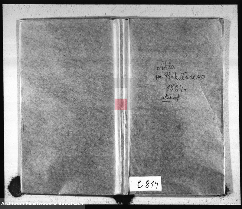 Obraz 2 z jednostki "Akta Zaślubionych Urzędnika Stanu Cywilnego Gminy Bakałarzewskiey Na Rok 1824-ty"
