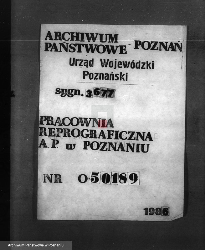 Obraz 1 z jednostki "/Majętność leśna Wąsowo w powiecie nowotomyskim/"