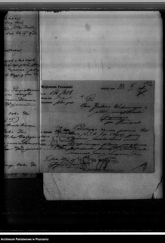 Obraz 16 z jednostki "Nadzór nad gospodarką w lasach majętności Jezierzyce"