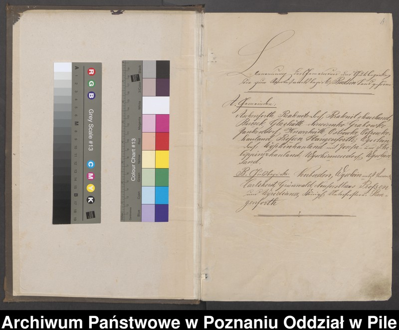 image.from.unit "Księga urodzeń"