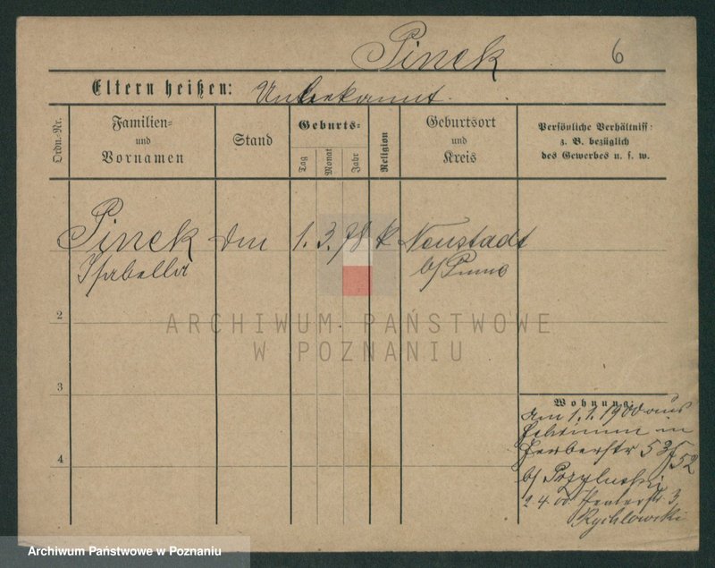 Obraz 6 z jednostki "Pinecki - Piotr"