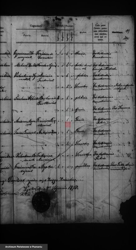 Obraz 13 z jednostki "Duplikat urodzonych, zaślubionych i zmarłych"