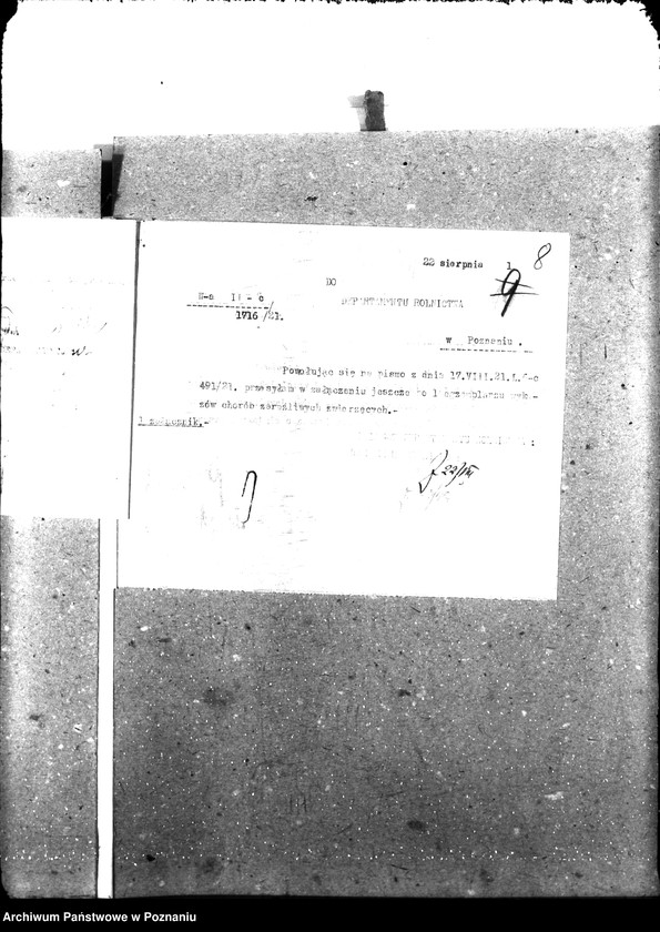 Obraz 13 z jednostki "Weterynaria"