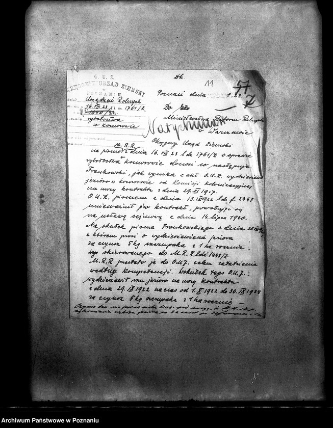 Obraz 16 z jednostki "Polowanie na jeziorze Bytyńskim Komorowo-Gorzewice"