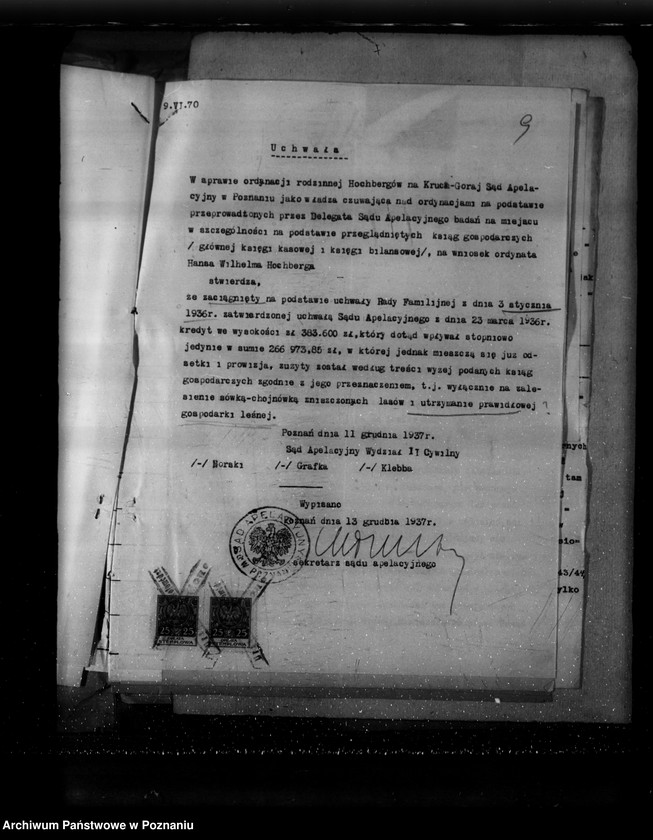 Obraz 15 z jednostki "Sprawa zalesienia majątku Krucz-Goraj"