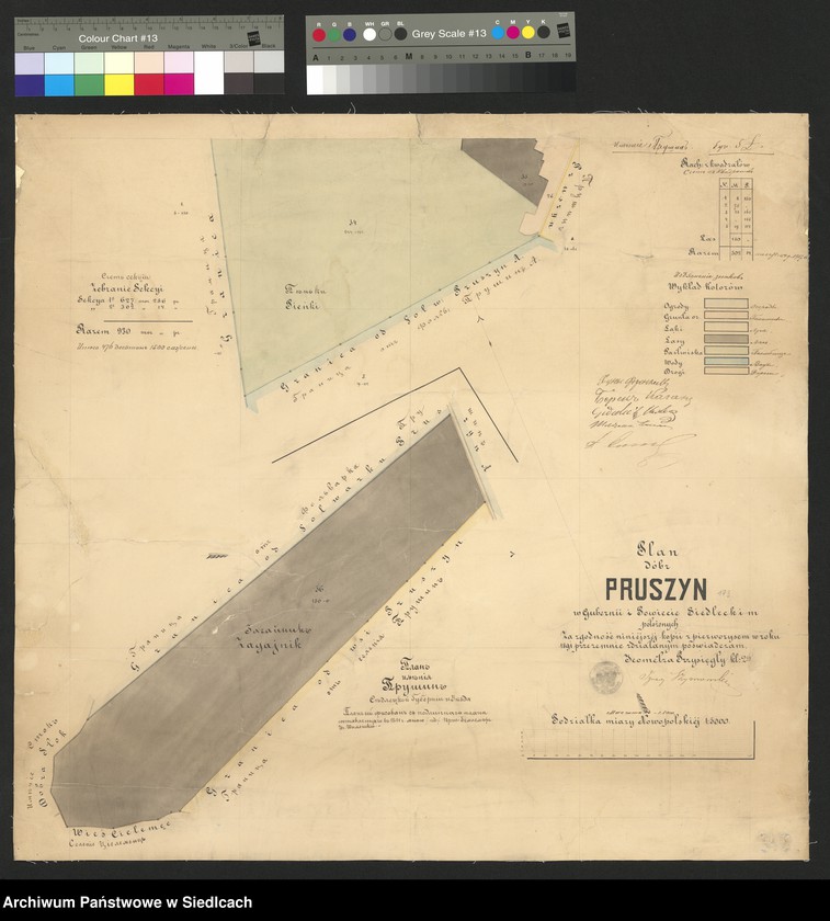 Obraz 14 z kolekcji "Plany folwarków guberni siedleckiej111"
