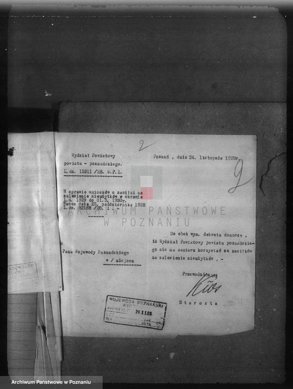 Obraz 6 z jednostki "Zalesienie nieużytków w powiecie poznańskim"