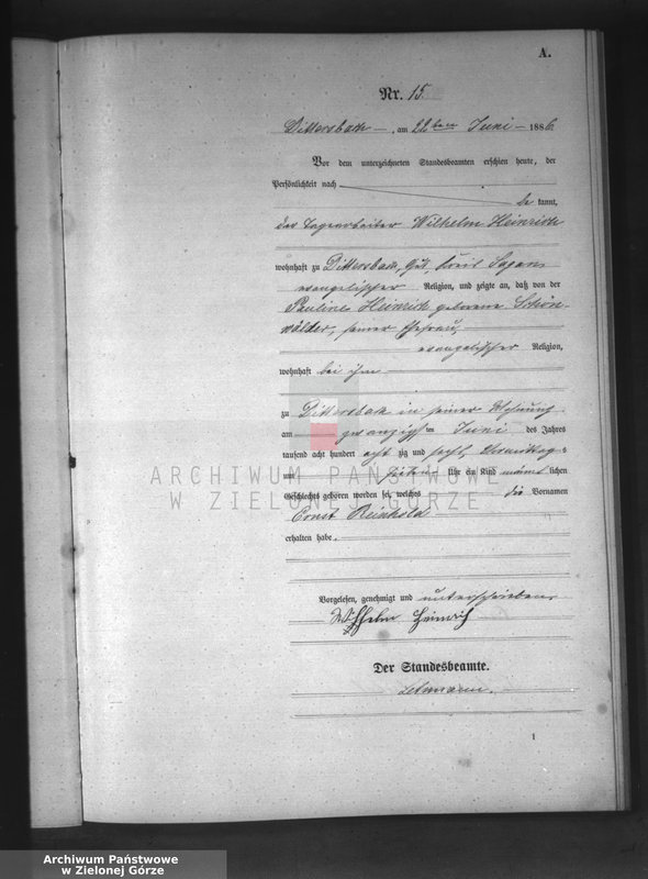 Obraz 18 z jednostki "[Księga aktów urodzeń]"