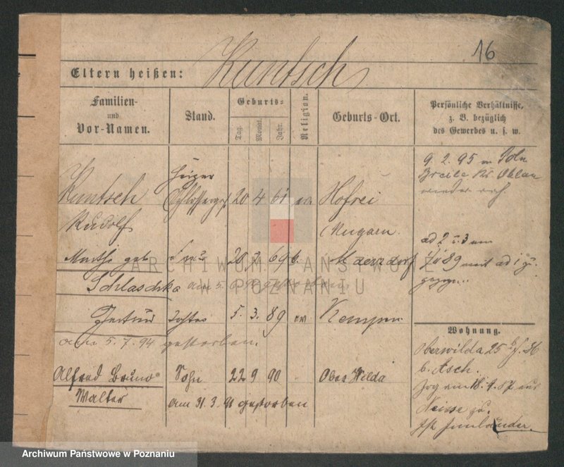 Obraz 16 z jednostki "Kunstetter - Kupsz"