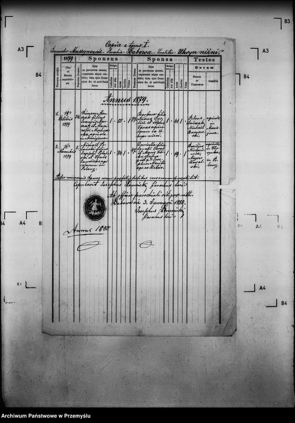 Obraz 5 z jednostki "[Kopie ksiąg metrykalnych parafii Łabowa z filiami Kotów, Łabowiec, Uhryń Niżny (dekanat Muszyna)]"