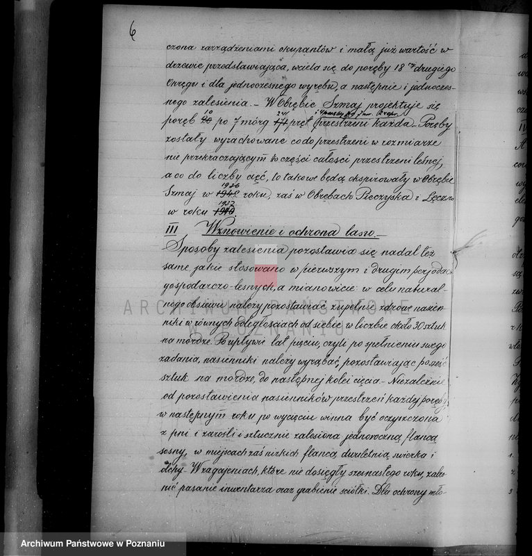 Obraz 9 z jednostki "/Las miasta Kalisza nadzór nad gospodarką/"