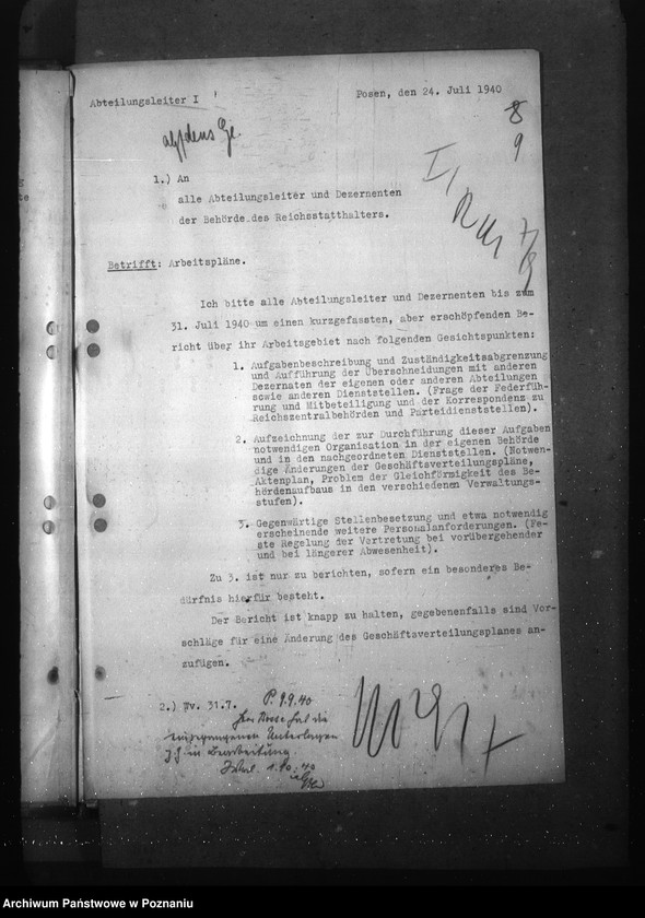 Obraz 13 z jednostki "Plany pracy komórek organizacyjnych urzędu namiestnika zebrane dla ustalenia podziału czynności"