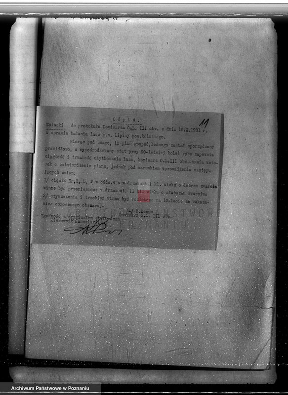 Obraz 16 z jednostki "Zatwierdzenie projektu planu gospodarstwa leśnego dla lasów majątku Lipiny powiatu kolskiego"