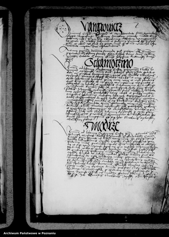 Obraz 5 z jednostki "Inscriptiones, relationes, decreta [inducta]"