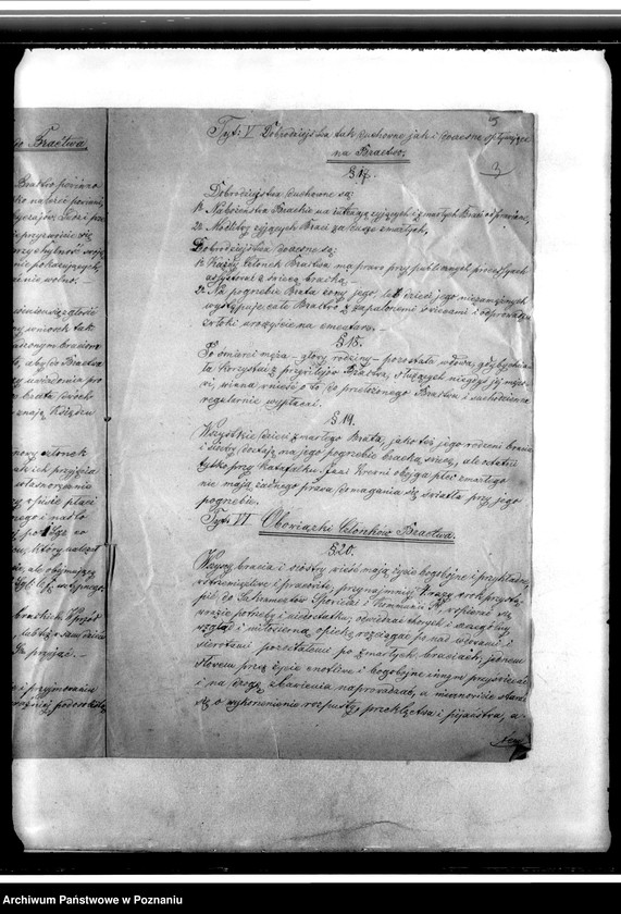 Obraz 8 z jednostki "Statut"