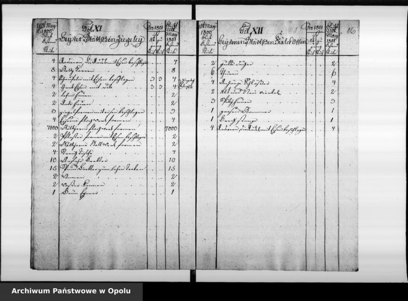 Obraz 13 z jednostki "Inventarium von denen Städtschen Utensilien Stücken bey der Königlichen Preussischen Immediat Stadt Oppeln. Pro 1800/1, 1801/2, 1802/3, 1803/4, 1804/5, 1805/6."