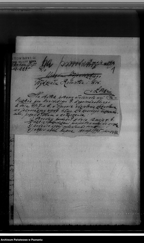 Obraz 6 z jednostki "Majątek Tuliszków, Rysiu, Szubianki powiatu konińskiego /nadzór nad gospodarką leśną/"