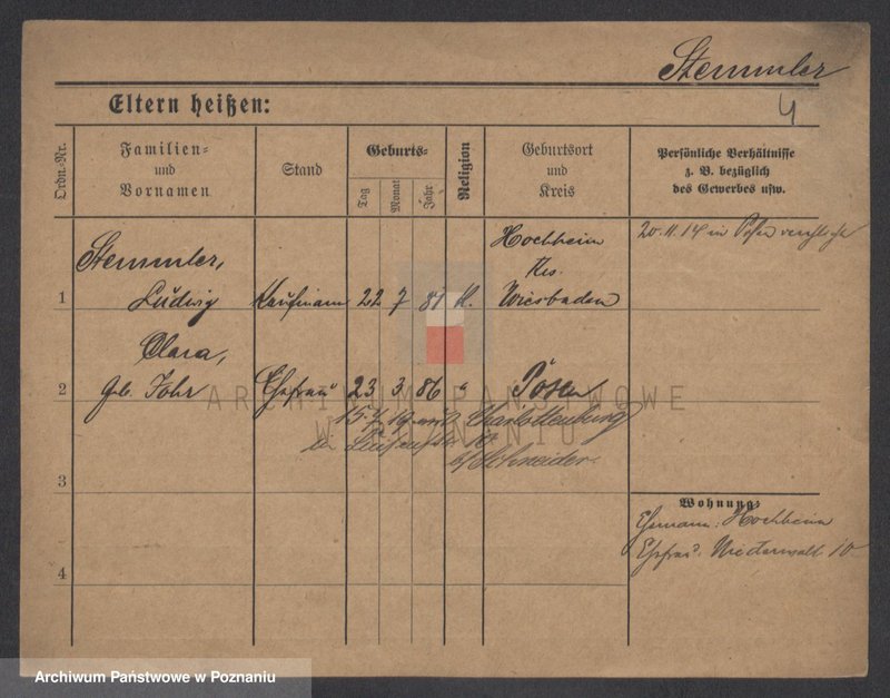 Obraz 10 z jednostki "Stemler - Steńko"