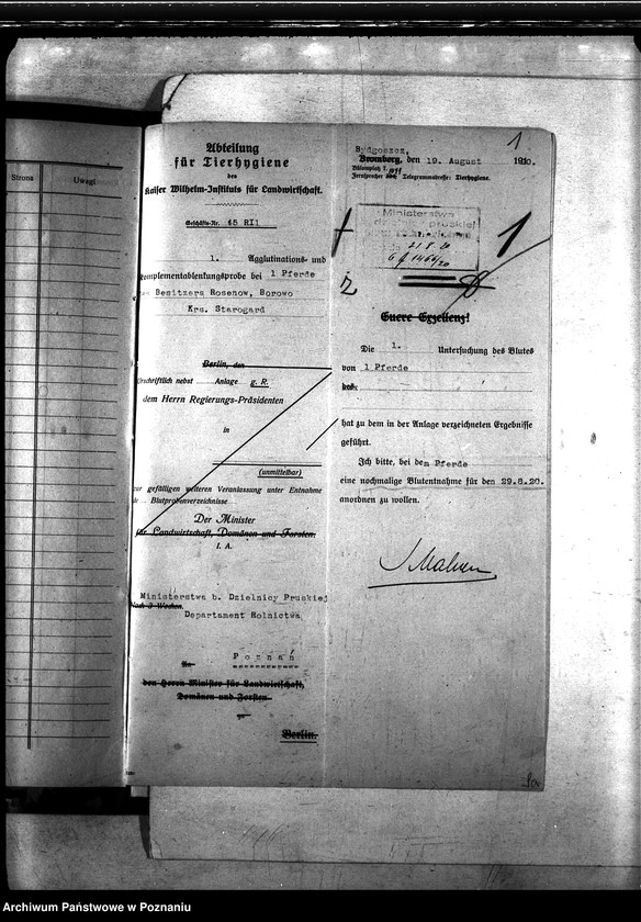 Obraz 5 z jednostki "Nosacizna - Starogard"