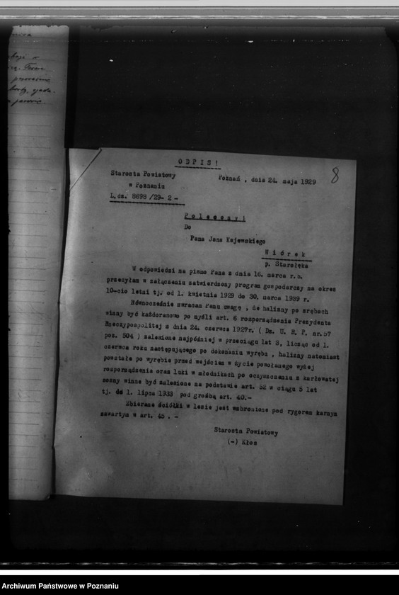 Obraz 13 z jednostki "Program gospodarczy dla lasu J. Kajewskiego w gminie Wiórek powiat poznański 1929-1939"