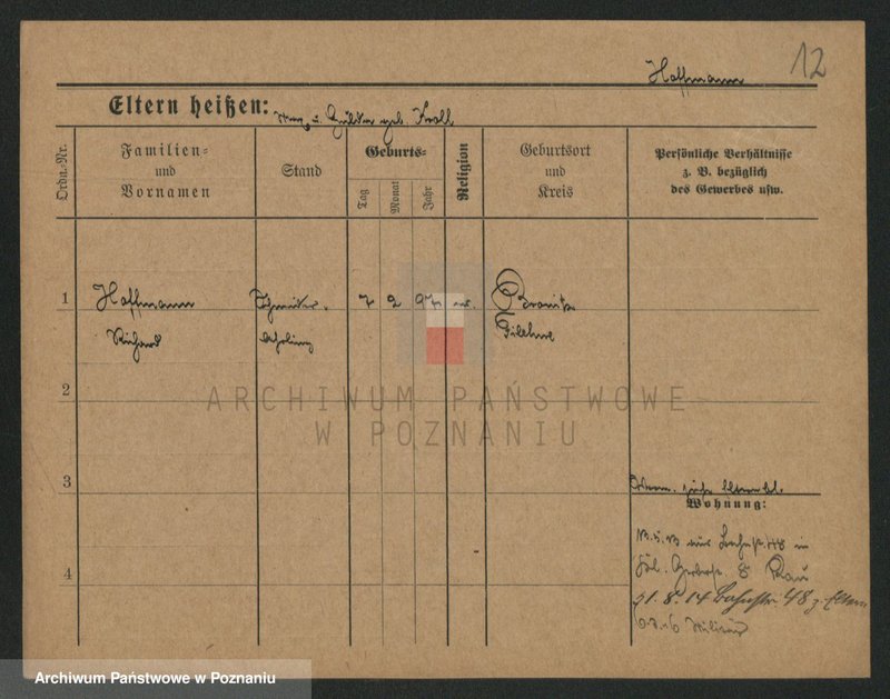 Obraz 12 z jednostki "Hofman (samotni mężczyźni)"