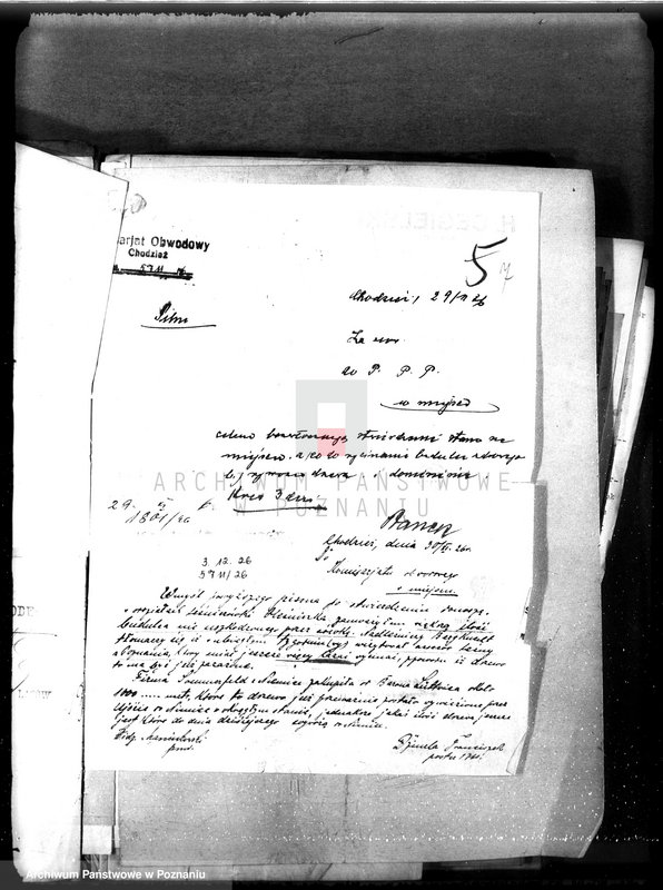 Obraz 11 z jednostki "Majętność leśna Oleśnica w powiecie chodzieskim"