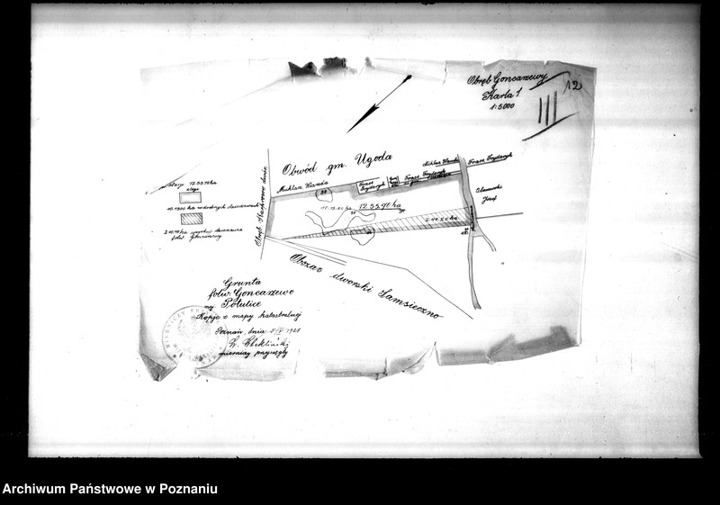 Obraz 18 z jednostki "Majętności Potulice powiatu bydgoskiego przymusowy wykup"