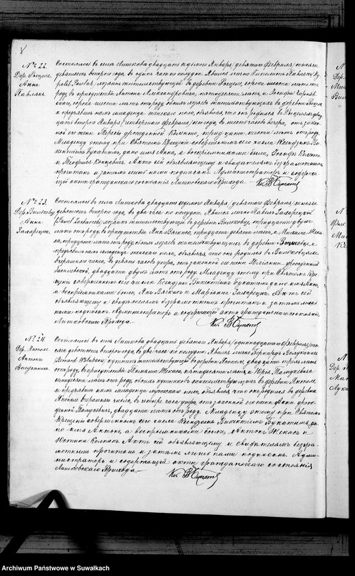 Obraz 11 z jednostki "Duplikat aktov graždnskago sostojanija Liškovskago Rimsko- Katoličeskago Prichoda o roždenij, brakosočetanij i smerti za 1902 god"