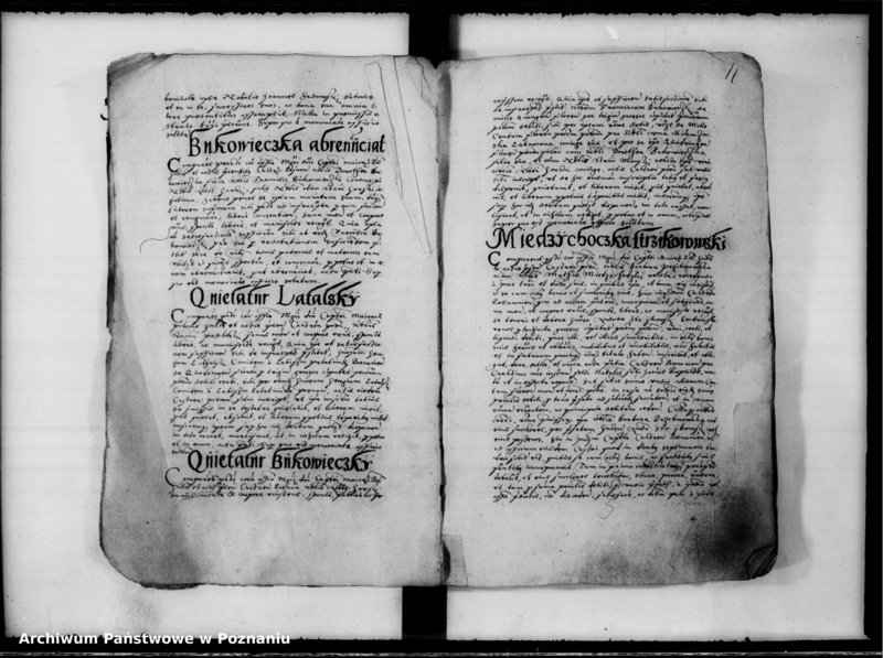 Obraz 12 z jednostki "Inscriptiones, relationes [inducta]"