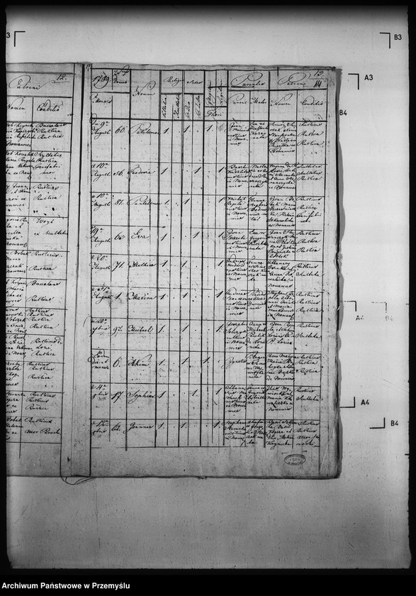 Obraz 18 z jednostki "[Kopie ksiąg metrykalnych parafii Nowa Wieś z filią Łosie (dekanat Muszyna)]"