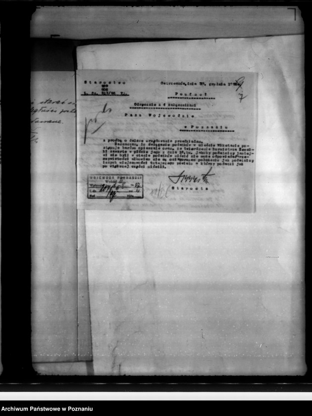 Obraz 11 z jednostki "Różności miasta Mikstatu"